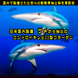 日本製造のサメ抽出のコンドロイチンとⅡ型コラーゲンと、日本で製造したカニ殻由来のグルコサミン