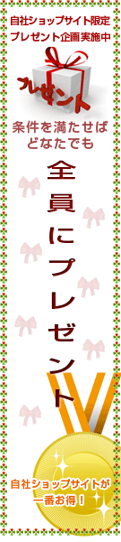 条件を満たせばどなたでも全員にプレゼント