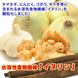 水溶性食物繊維「イヌリン」