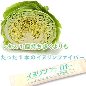 レタス1個持ち歩くよりも手軽なイヌリンファイバー