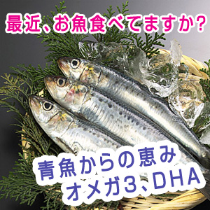 青魚からの恵みオメガ３、ＤＨＡ